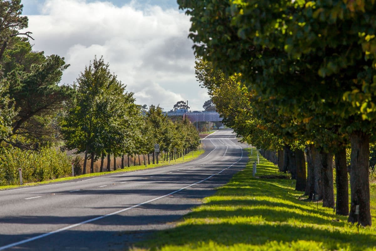Grampians Region Colonoscopy Access Project